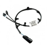 Focus N/S Rear Anti-Lock Braking System Wiring 2018-On