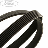 TRANSIT DRIVE V BELT