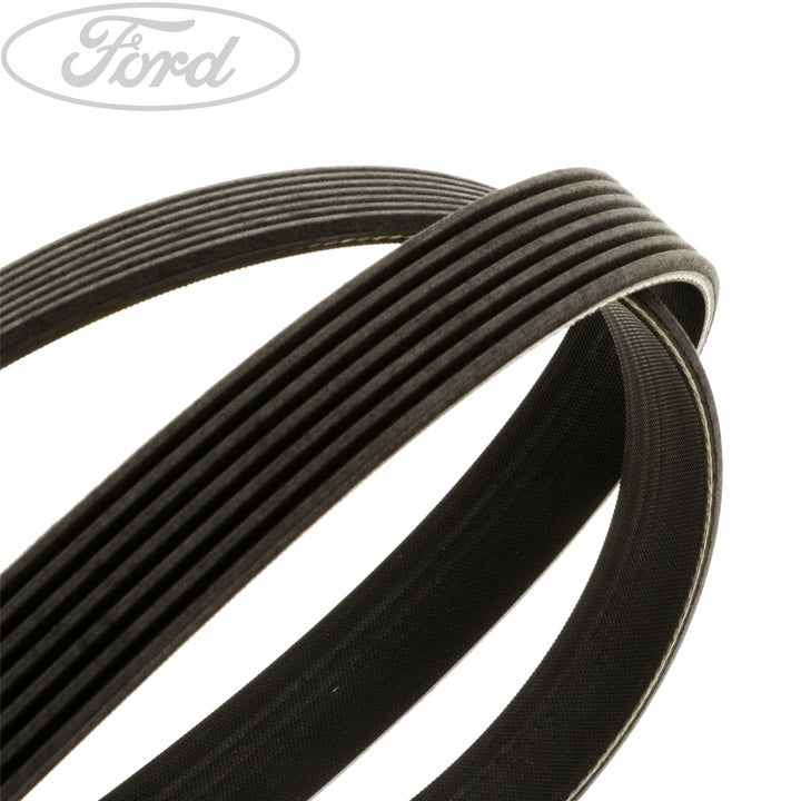 TRANSIT DRIVE V BELT
