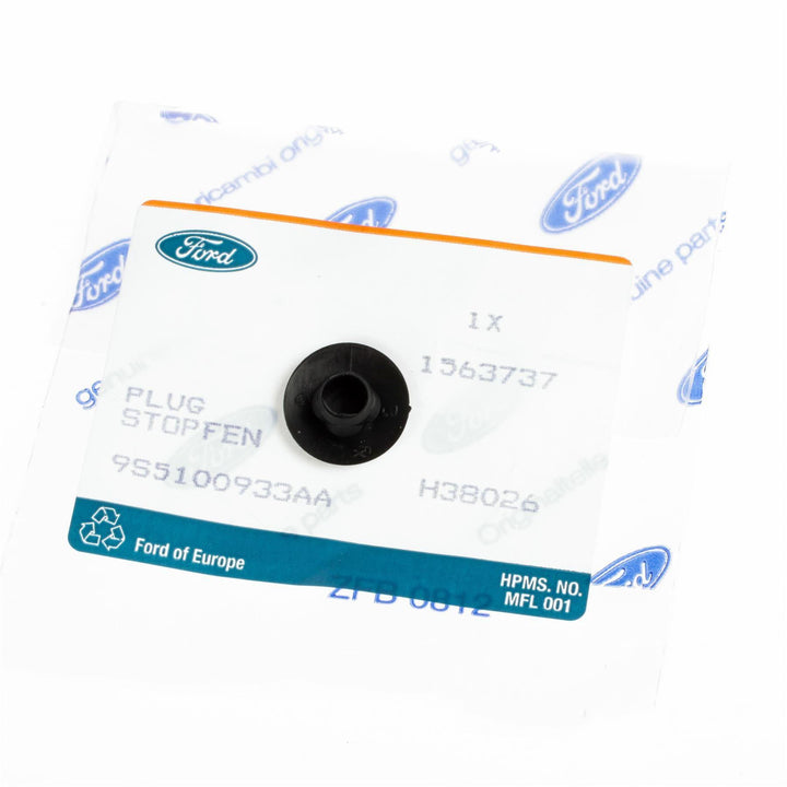 REAR DRUM BRAKES PLUG