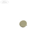 FIESTA FRONT DOOR INTERIOR HANDLE SCREW CAP PLUG COVER
