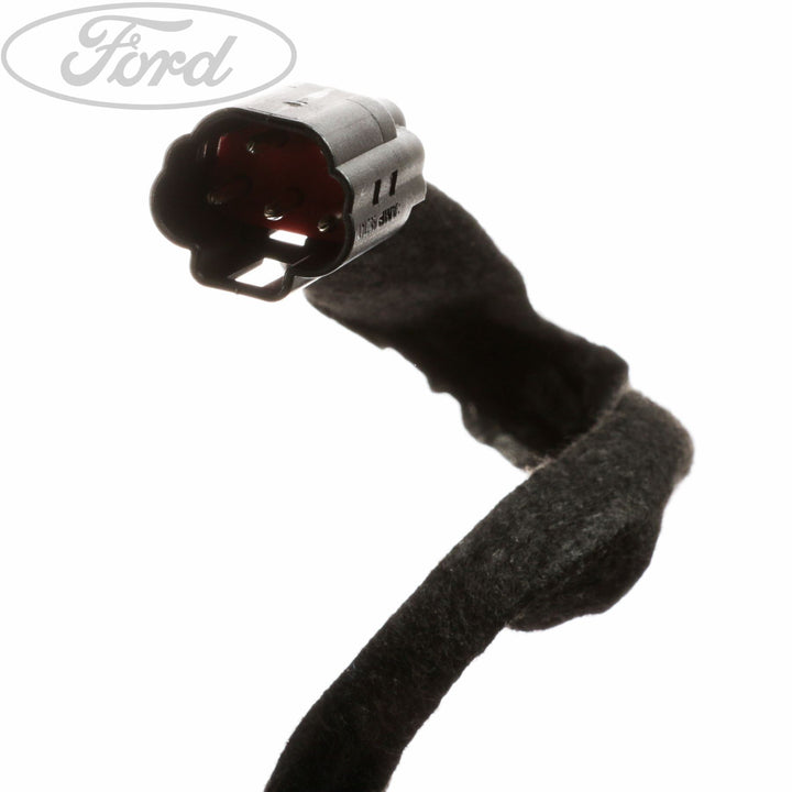 FIESTA TAILGATE BODY CLOSURE WIRING