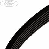 FIESTA 16V DRIVE BELT KIT V-RIBBED
