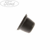 CAP - BLEED SCREW