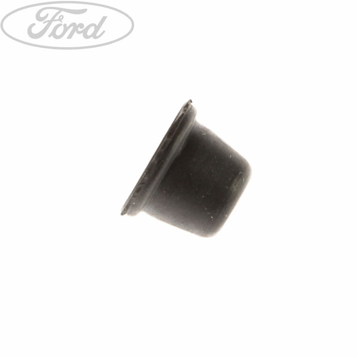 CAP - BLEED SCREW
