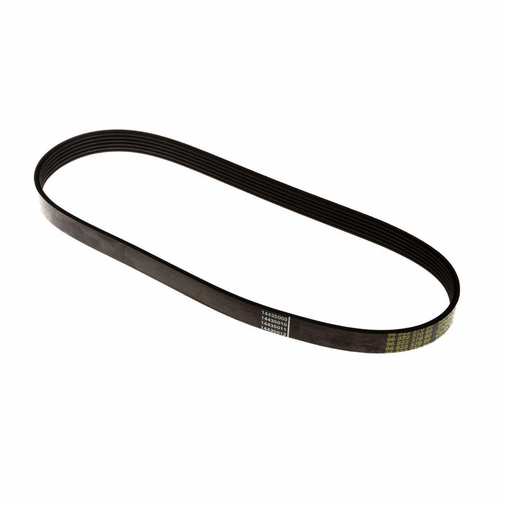 C-MAX FOCUS FIESTA FUSION DRIVE V BELT