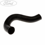 RADIATOR HOSES