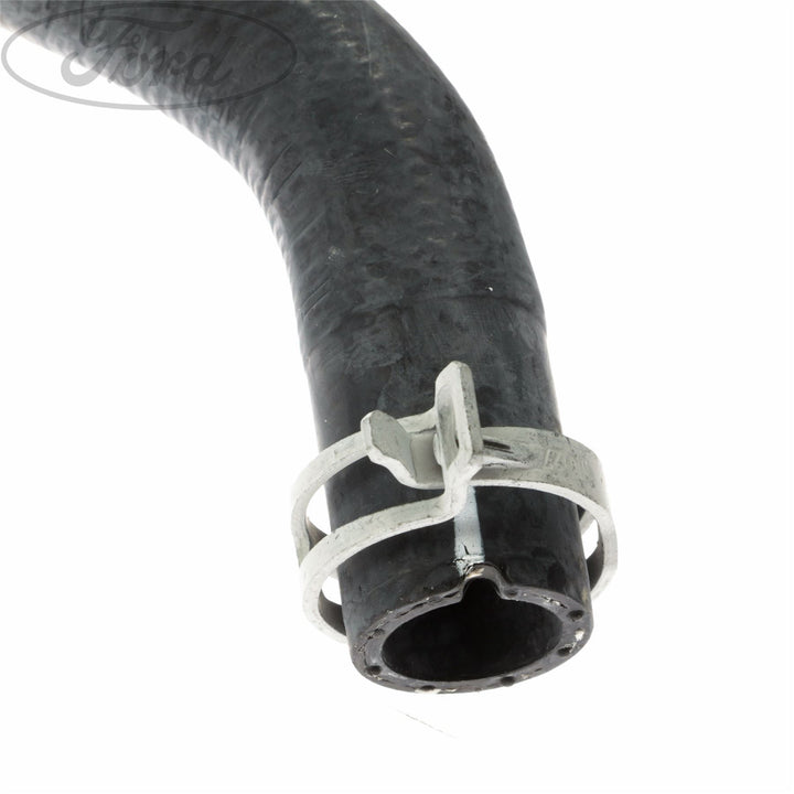 THERMOSTAT HOUSING HOSE