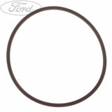 FUEL TANK PUMP GASKET