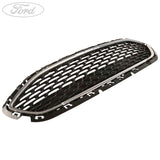 RADIATOR GRILLE