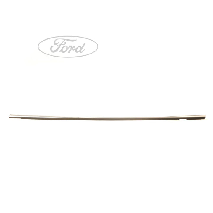 FIESTA N/S FRONT DOOR BELT WEATHERSTRIP