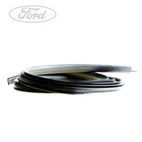 N/S FRONT DOOR WEATHERSTRIP SEAL