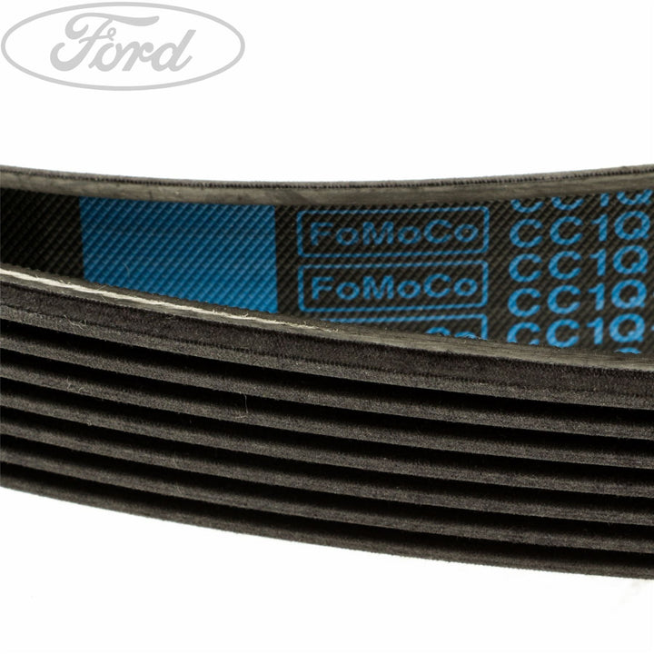 TRANSIT DRIVE V BELT