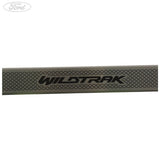 DOOR SCUFF PLATE