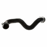 RADIATOR HOSE