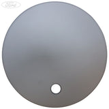 FUEL TANK FILLER ACCESS DOOR