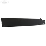 DOOR TRIM PANEL APPLIQUE