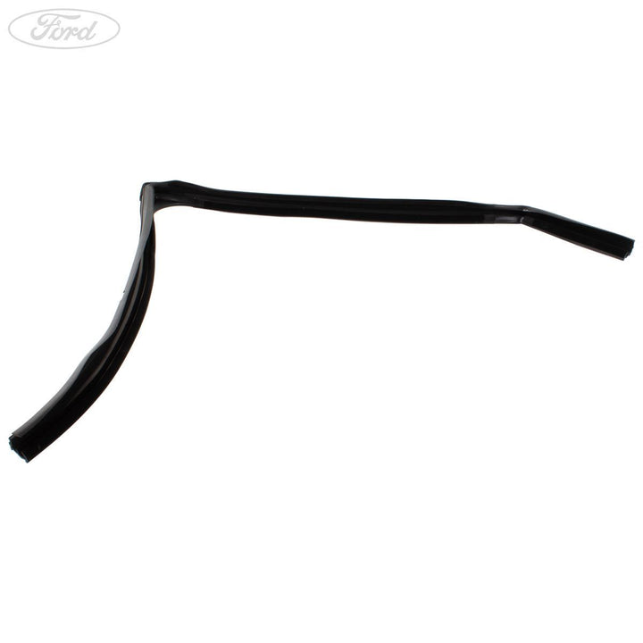 ECOSPORT REAR N/S DOOR WINDOW WEATHERSTRIP SEAL 2013-2016
