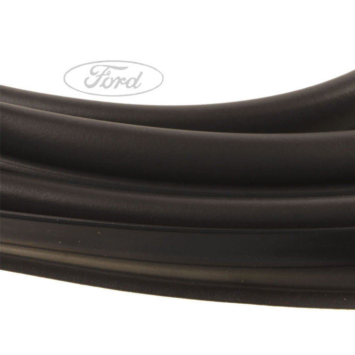 FIESTA N/S REAR BACK DOOR WEATHERSTRIP SEAL
