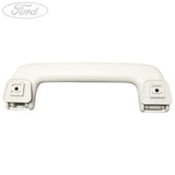 ASSIST HANDLE