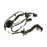 FOCUS REAR DOOR BODY CLOSURE WIRING