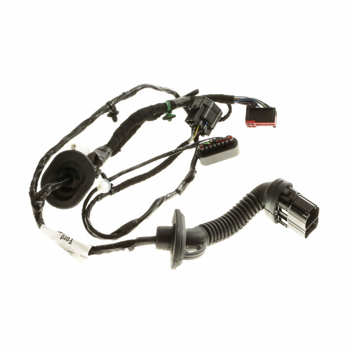 FOCUS REAR DOOR BODY CLOSURE WIRING