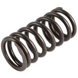 FIESTA MK6 MK7 FUSION 1.4 DURATORQ TDCI VALVE SPRING 01-12