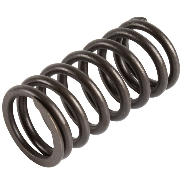 FIESTA MK6 MK7 FUSION 1.4 DURATORQ TDCI VALVE SPRING 01-12