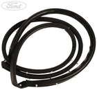 ECOSPORT FRONT N/S DOOR WINDOW WEATHERSTRIP SEAL 2017-2018