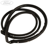 ECOSPORT FRONT N/S DOOR WINDOW WEATHERSTRIP SEAL 2017-2018