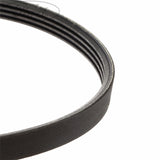 TRANSIT DRIVE BELT