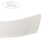 FIESTA N/S DOOR OUTSIDE BODY MOULDING