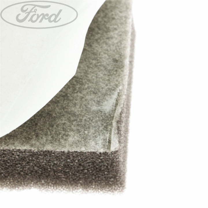 RADIATOR ENERGY ABSORBING FOAM PAD