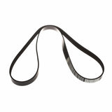 FIESTA DRIVE V BELT