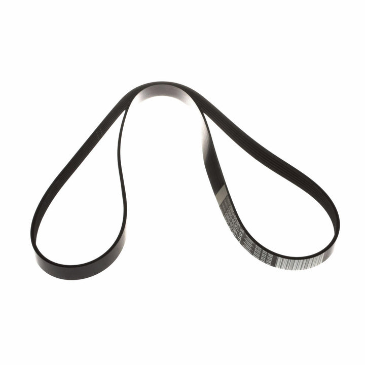 FIESTA DRIVE V BELT