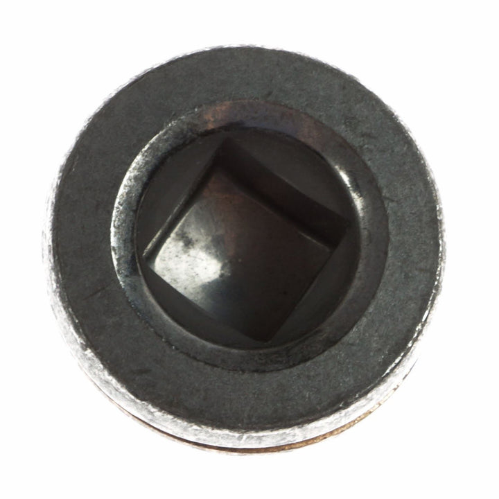 Diesel Cylinder Head Block Expansion Plug M6 2003-Onwards