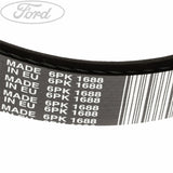FIESTA DRIVE V BELT