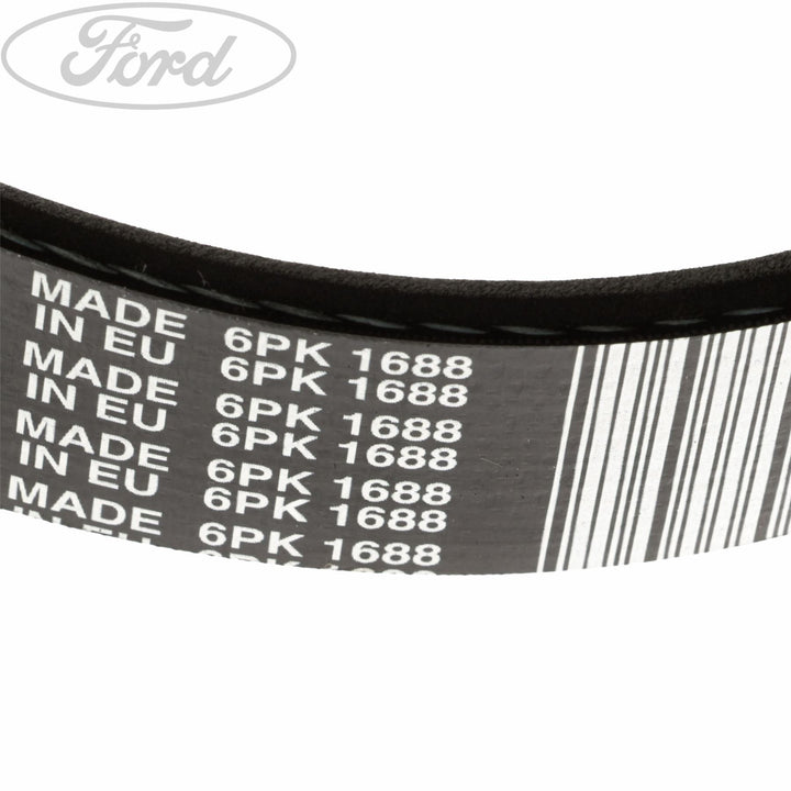 FIESTA DRIVE V BELT