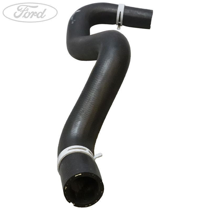 HOSE