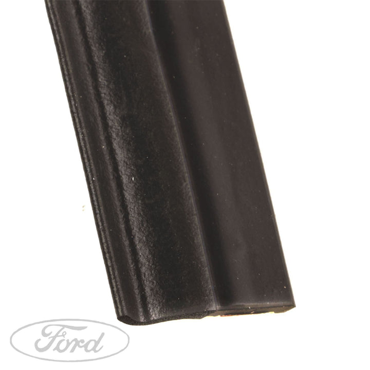 FIESTA O/S REAR BACK DOOR WEATHERSTRIP SEAL