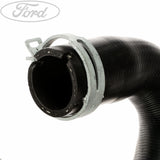 RADIATOR HOSE