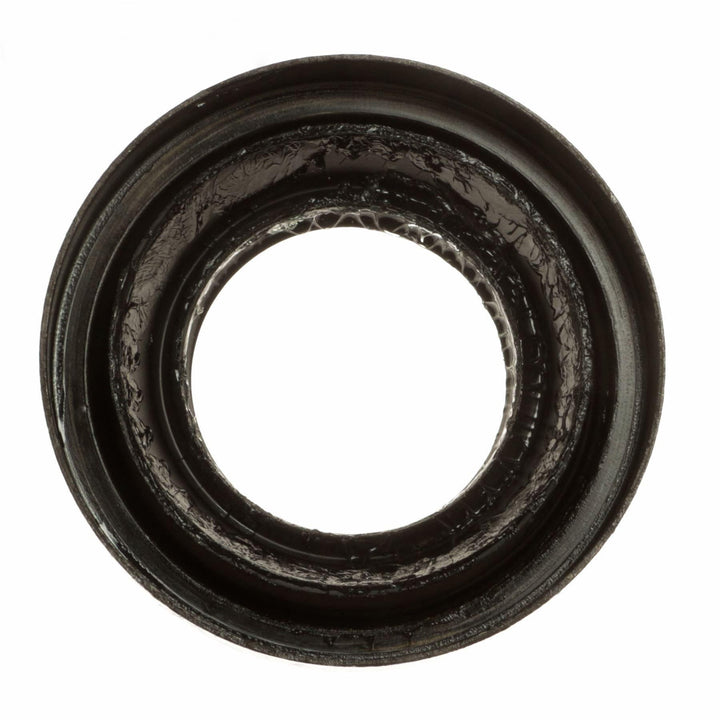 OIL SEALS