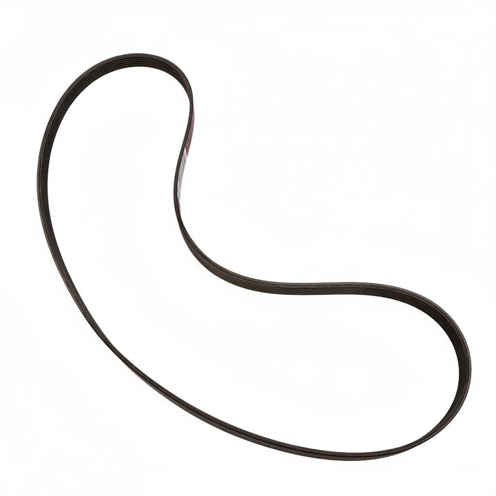 1.5 EcoBoost Alternator Drive V-Belt 2014-2020