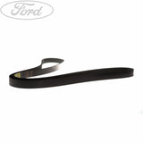FOCUS MOTORCRAFT DRIVE V BELT