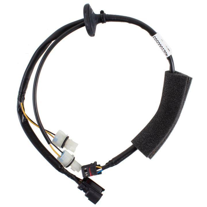 LAMP WIRING AND SOCKET