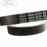 FOCUS FOCUS C-MAX MPV DRIVE BELT KIT