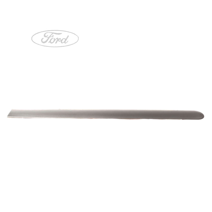 N/S UPPER DOOR OUTSIDE BODY MOULDING