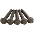 DURATORQ TDCI 16V CRANKSHAFT PULLEY BOLT 2000-