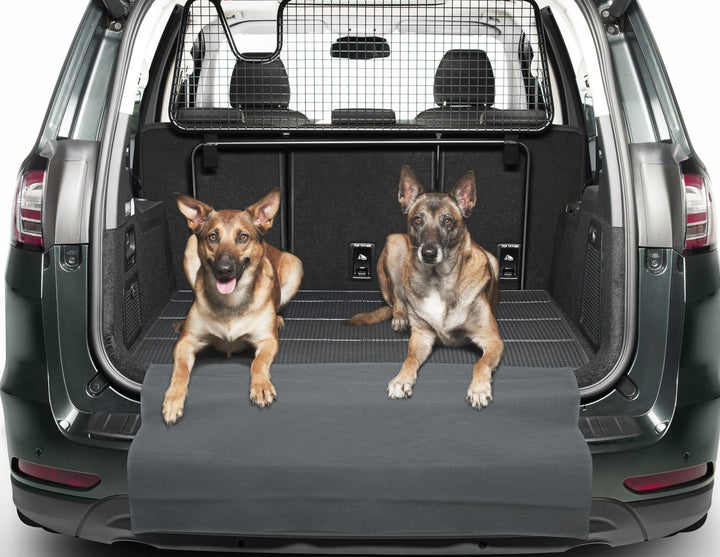 GALAXY LOAD COMPARTMENT CARPET MAT, BLACK, WITH GALAXY LOGO, 2015 - ONWARD