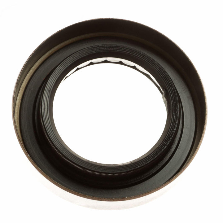 OIL SEALS